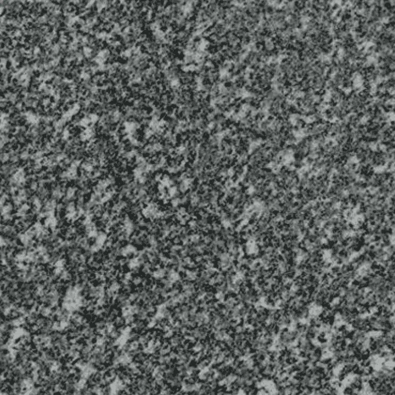 Black Sesame Granite (G654)