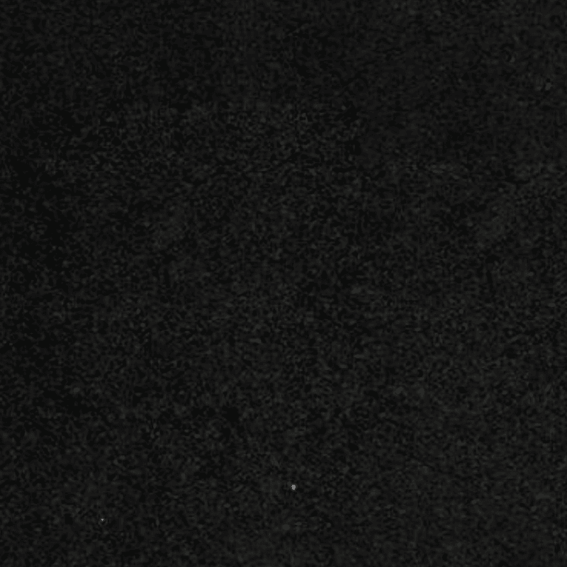 Shanxi Black Granite